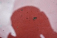 Скло бічна ліва перед передня tesla model y 20- Недорого, фото thumb