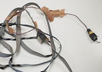 фото thumb №2, Джгут електропроводка стельовий renault espace iv