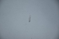 фото thumb №5, Капот кришка двигуна citroen c4 picasso i