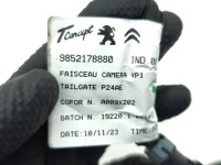 Peugeot 2008 2 камера заднього виду 2024 9647393780 Зі Шроту, фото thumb