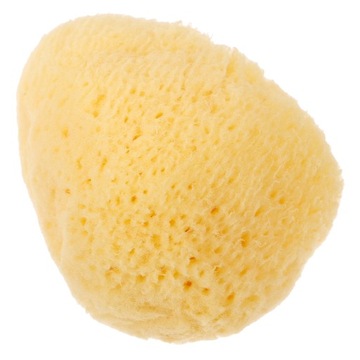NATURALNA GĄBKA GRECJA GĄBKI DO TWARZY