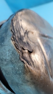 фото thumb №7, Peugeot 308 iii p5 1.5d 21r катализатор dpf 9841854880