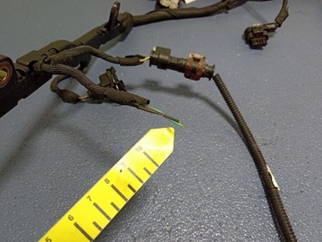 фото thumb №4, Bmw 7 g11 g12 g05 4.4 n63 джгут двигуна 8654416