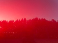 фото thumb №7, Mazda 3 bp капот рік 2022 колір 46v