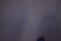 фото thumb №5, Капот крышка двигателя mini one cooper r50 a24/5 lift