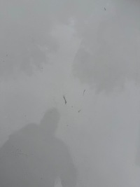 Opel insignia a капот крышка двигателя z40r в Украине, фото thumb