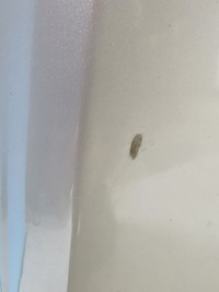 фото thumb №7, Chevrolet captiva lift 11/15 капот крышка крышка багажника перед ветровик