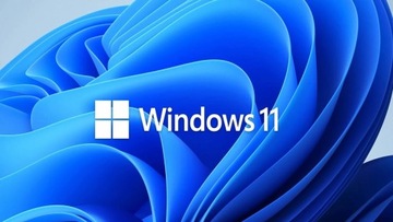 Windows 11 Home BOX USB PL