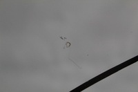 фото thumb №6, Стекло лобовое vw transporter t5 2003-2015 org датчик