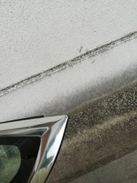 фото thumb №3, Tesla 3 стекло кузовная зад задняя левая оригинал 1080703-00-h