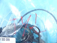 фото thumb №7, Датчик паркування pdc audi a8 d3