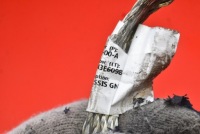 фото thumb №8, Клемма минусовая 1691889-00-a tesla model y 60 kwh 299 km 20-