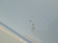 фото thumb №9, Двері ліві лівий зад задні audi a7 4g c7 10- ly9c