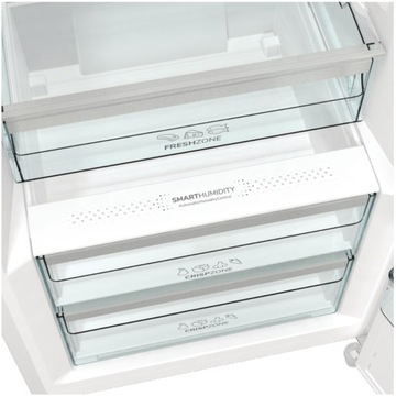 Chłodziarka GORENJE R619EAW6