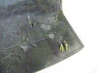 фото thumb №13, Защита заглушка зеркало volvo fh