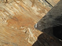 фото thumb №7, Крышка багажника задняя renault laguna coupe