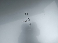 фото thumb №8, Капот audi a4 b6 01-05 cabrio цвет ly5s