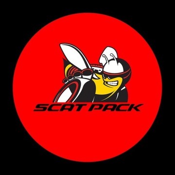 Светодиодные приветственные фонари Dodge Challenger SRT