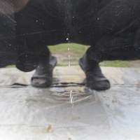 фото thumb №7, Двері праве зсувні toyota proace verso expert