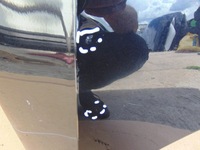 фото thumb №8, Капот крышка двигателя skoda superb iii 3 3v0823155a