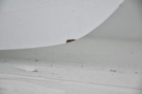 фото thumb №9, Кришка багажника задня задня ford focus mk3 iii