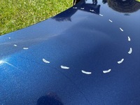 фото thumb №10, Крыло правые переднее перед синий kia ceed i 1 06-09 лак: a8 250um