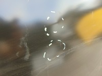 фото thumb №10, Обшивка крила бік правий задня trafic vivaro b