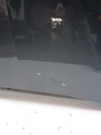 Капот крышка двигателя seat leon 3 3 5f 5f0 13-17 nr 44270 с Разборки, фото thumb