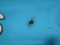 фото thumb №7, Капот glill кришка багажника 1856475 1856474 scania r xpi 400