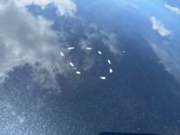 Капот передняя крышка двигателя renault megane 3 3 08- lak: teb66 130um Цена, фото thumb