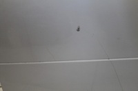 фото thumb №3, Обшивка двері правий перед smart forfour eb4 eas