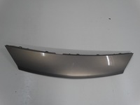 фото thumb №1, Защита перед renault scenic ii