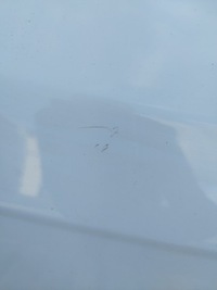 фото thumb №9, Двері праві зад ford focus mk3 iii колір 5b 2010--- оригінал хетчбек hb