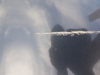 фото thumb №7, Дверь левая задняя citroen c5 iii kombi eypc 2008-2017 кузов голый