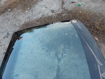 фото thumb №9, Audi q5 8r скло передня лобове pod датчик