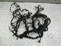 фото thumb №1, Электропроводка жгут двигателя dacia logan sandero ii lift 1.5blue dci 2020r