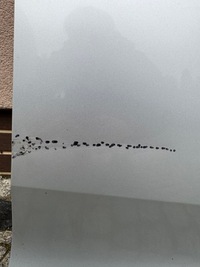 фото thumb №4, Дверь правый перед передние skoda rapid 5ja