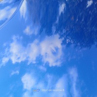 фото thumb №13, Двері правий задня задні renault megane iv kombi