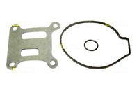 фото thumb №1, Насос водяна wody starline +gratisy