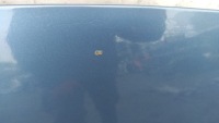 фото thumb №5, Капот перед капот kgqc citroen berlingo ii 08-