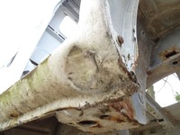 фото thumb №10, Renault master ii opel movano a 03-10 кабина одинарная крыша стена задняя