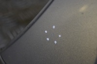 фото thumb №5, Крыло левый c6z legacy iv 08 kombi