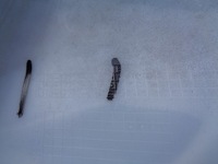 фото thumb №8, Бампер передній ford puma 19- nr 42274