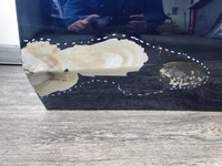 фото thumb №13, Дверь ------- bmw 5 g60 --------- задние левая