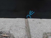 фото thumb №7, Citroen c-elysee дверь левая перед передние nowe оригинальный номер