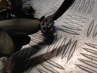 фото thumb №7, Bmw e38 жгут электропроводка дверь левый перед