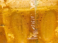 Maserati quattroporte 2004 каркас сиденье водителя Киев, фото thumb