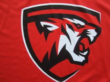 HOLLOWAY Baseball_L (40)_Tigers_No. 56