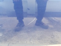 фото thumb №7, Honda accord 8 viii 08r- дверь левая перед b553p