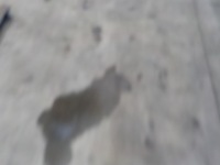 фото thumb №5, Trafic iii vivaro b обмежувач двері задня